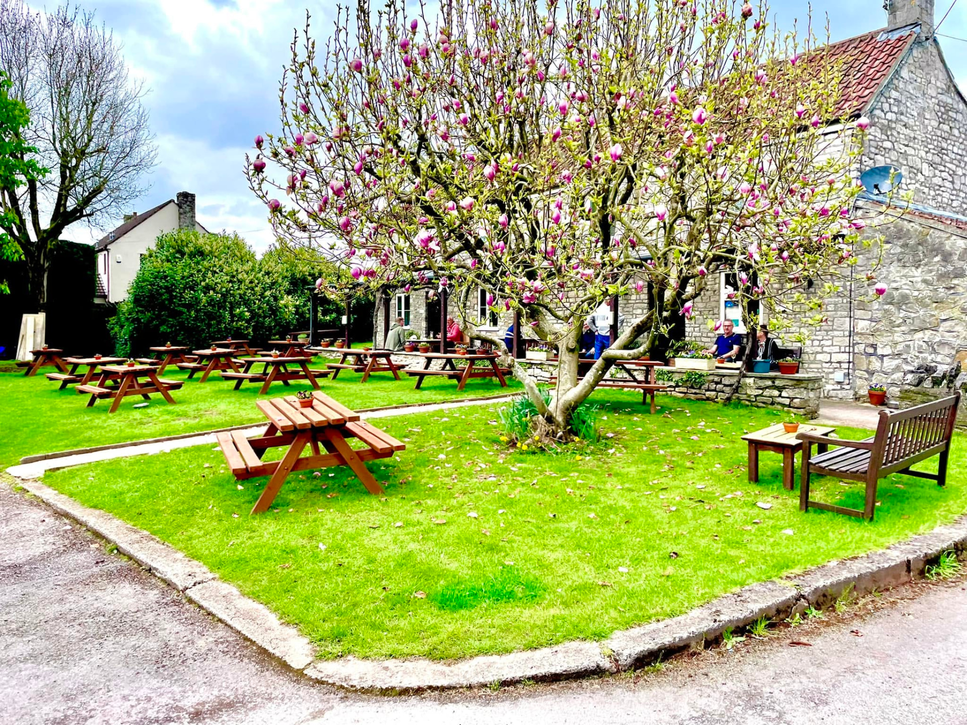 The garden at The Fox Inn in spring, picnic tables beneath a flowering magnolia